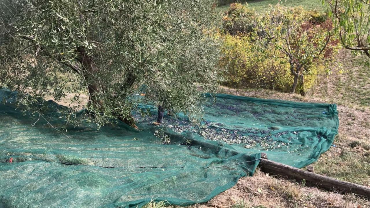 Villa Porsenna Κιούζι Εξωτερικό φωτογραφία