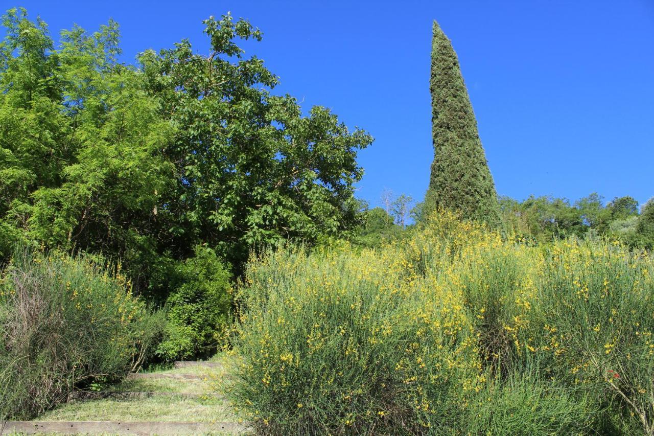 Villa Porsenna Κιούζι Εξωτερικό φωτογραφία